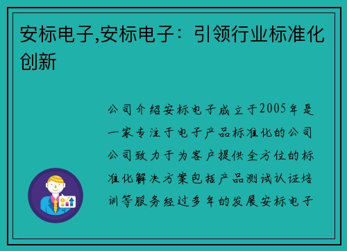 安标电子,安标电子：引领行业标准化创新