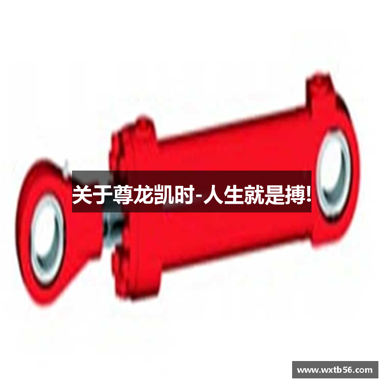 关于尊龙凯时-人生就是搏!